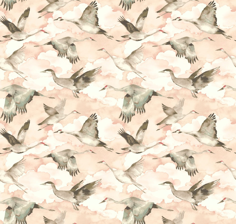 Flyway