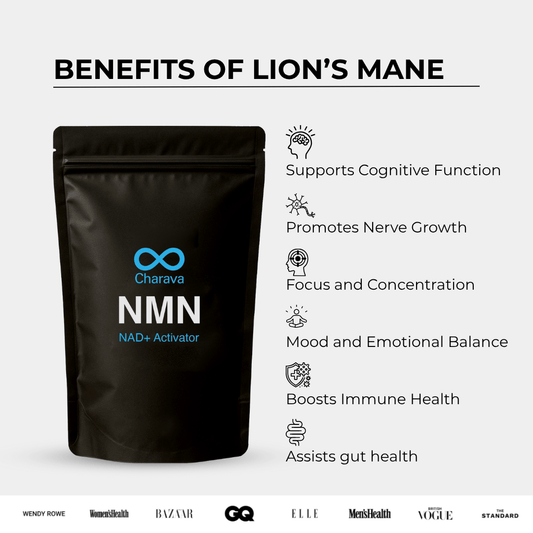 Lion's Mane Powder - 60 Grams - 30 Servings
