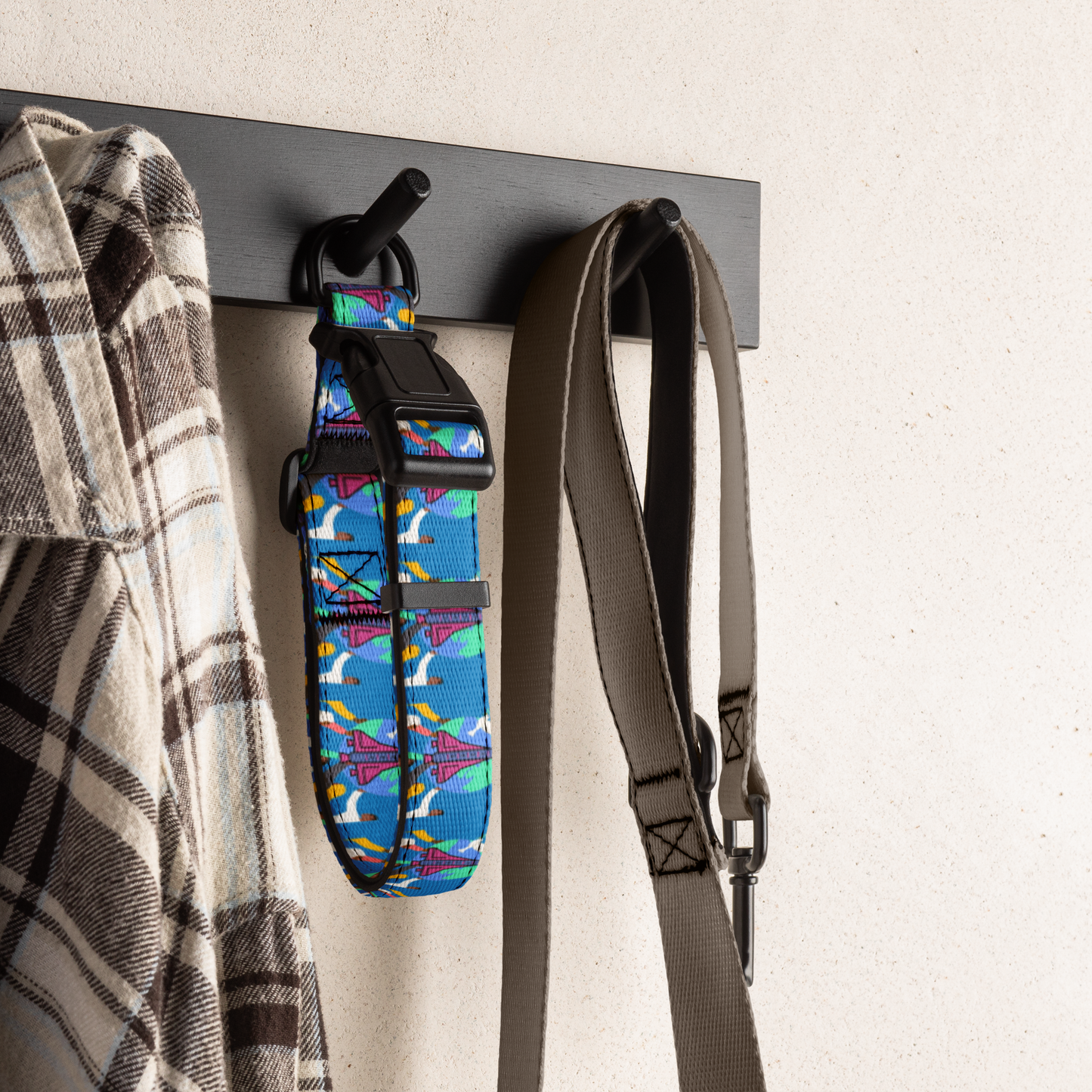 First Home Pet collar