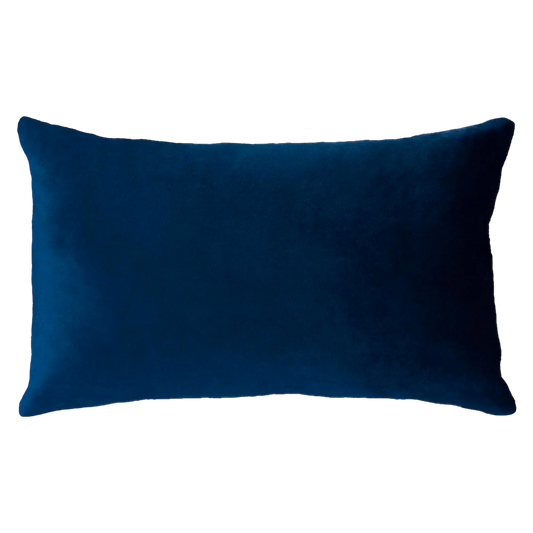 Netflix & Chill Needlepoint Cushion