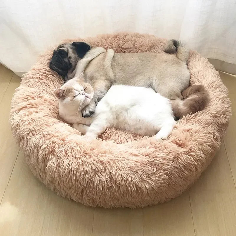The Pet Collection