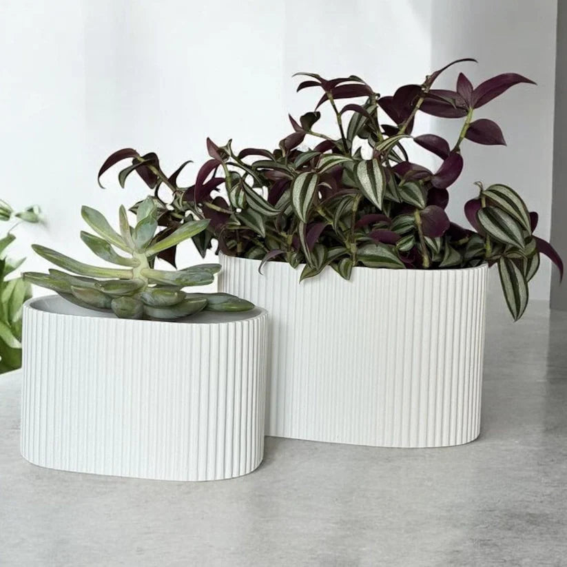 Pots & Planters