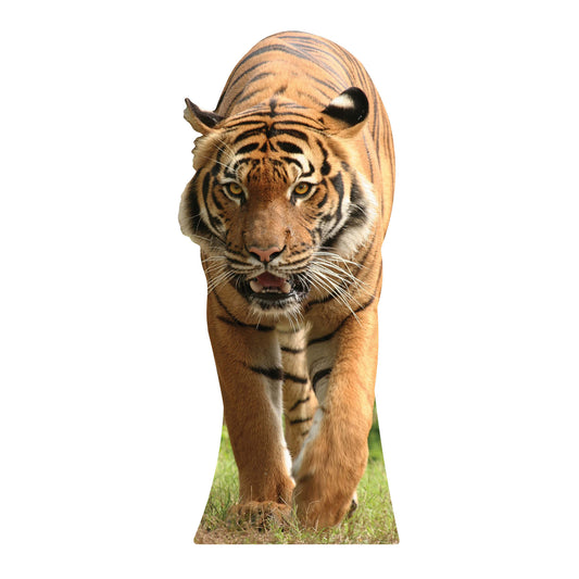 SC053 Tiger Cardboard Cut Out Height 130cm