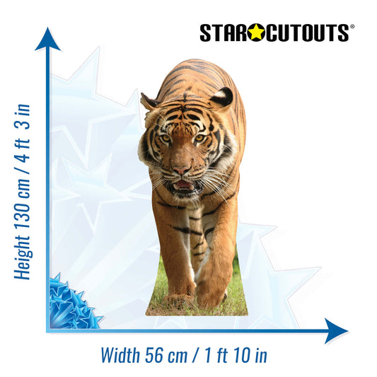 SC053 Tiger Cardboard Cut Out Height 130cm