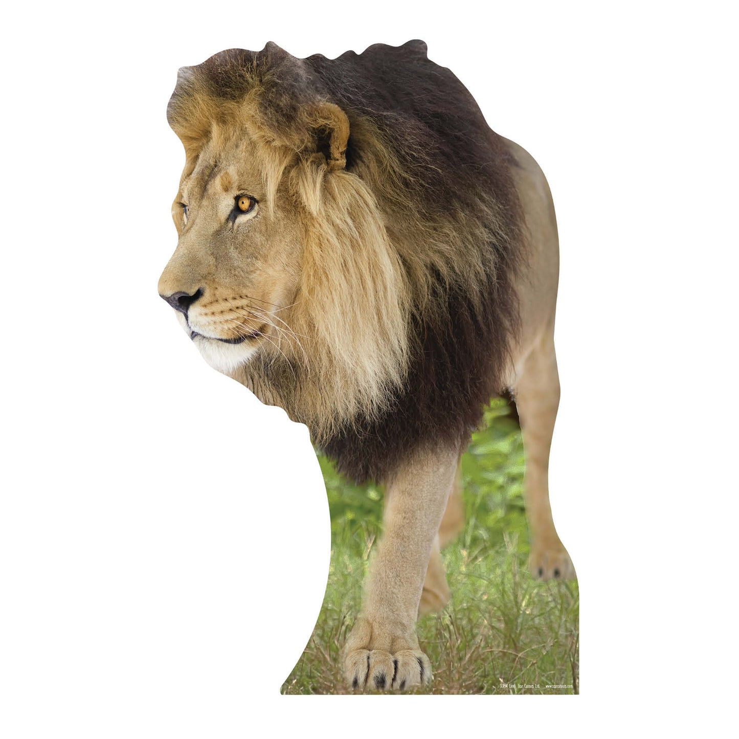 SC054 Lion Cardboard Cut Out Height 130cm