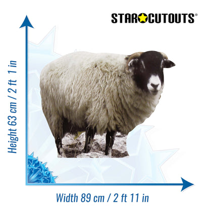 SC064 Sheep Cardboard Cut Out Height 63cm