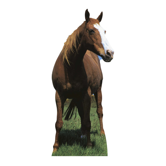 SC070 Mustang - Horse Cardboard Cut Out Height 190cm
