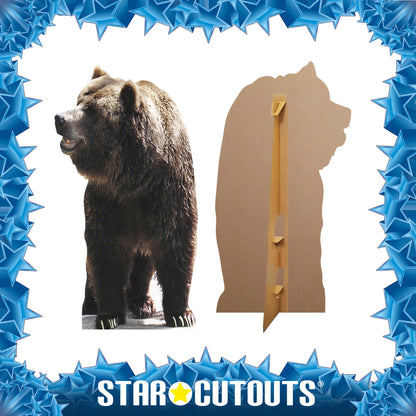 SC072 Bear Cardboard Cut Out Height 165cm