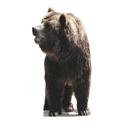 SC072 Bear Cardboard Cut Out Height 165cm