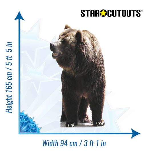 SC072 Bear Cardboard Cut Out Height 165cm