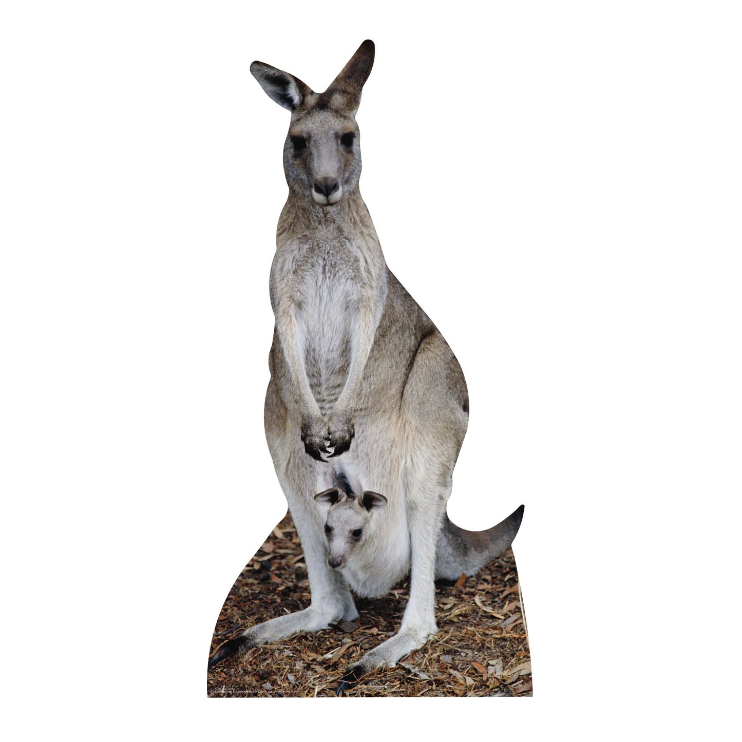 SC073 Kangaroo Cardboard Cut Out Height 195cm
