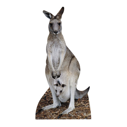 SC073 Kangaroo Cardboard Cut Out Height 195cm