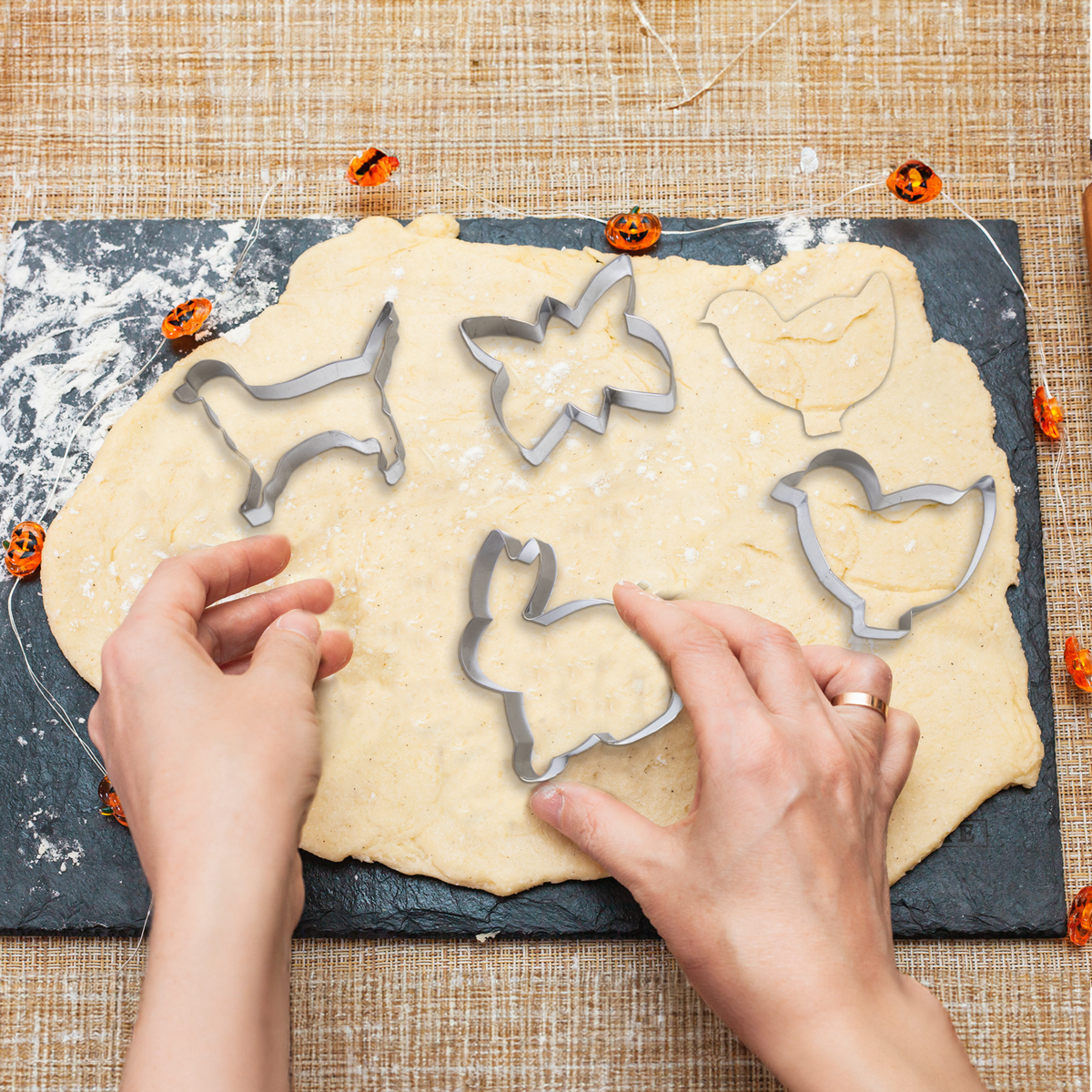 Sucre Set of 6 Animal Shape Cookie Cutters