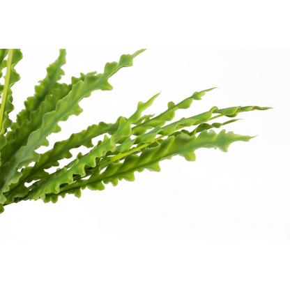 40cm Artificial Crocodile Fern Plant