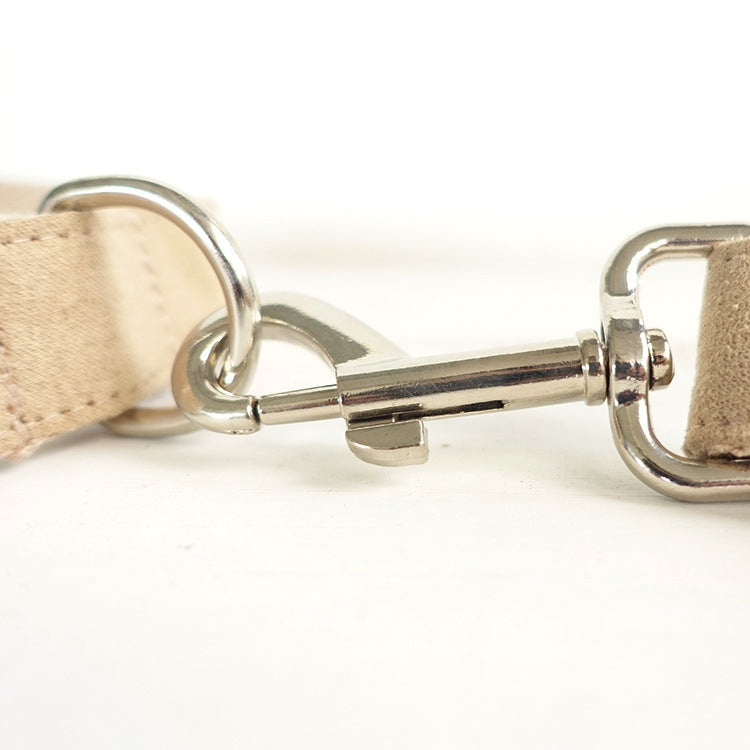 Creative design teddy dog leash