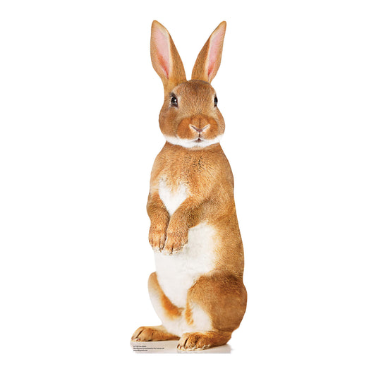 SC1120 Cute Rabbit Cardboard Cut Out Height 90cm