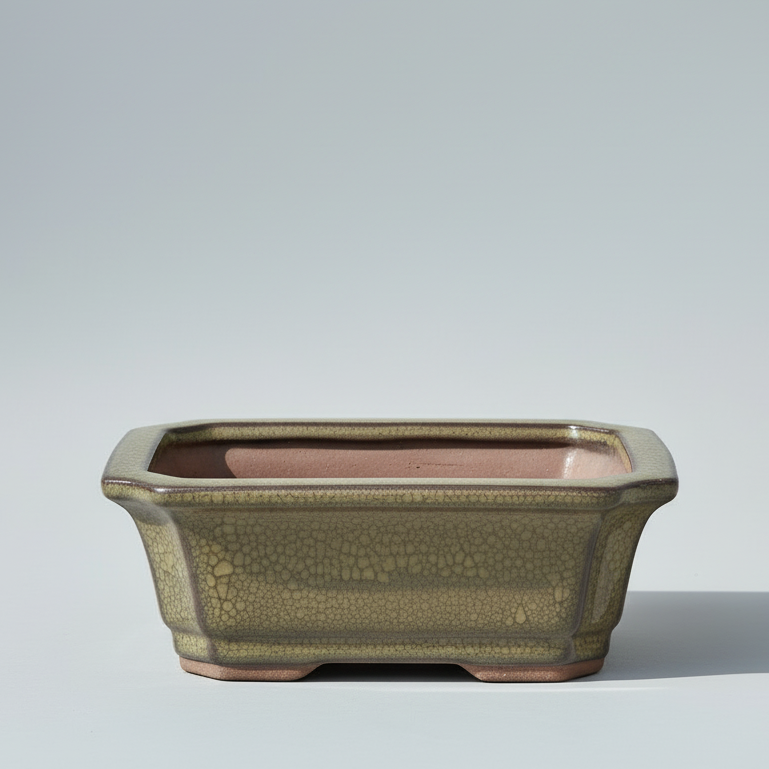 12cm Glazed Bonsai Pot | Rectangle | 12cm x 10cm x 4cm | Green
