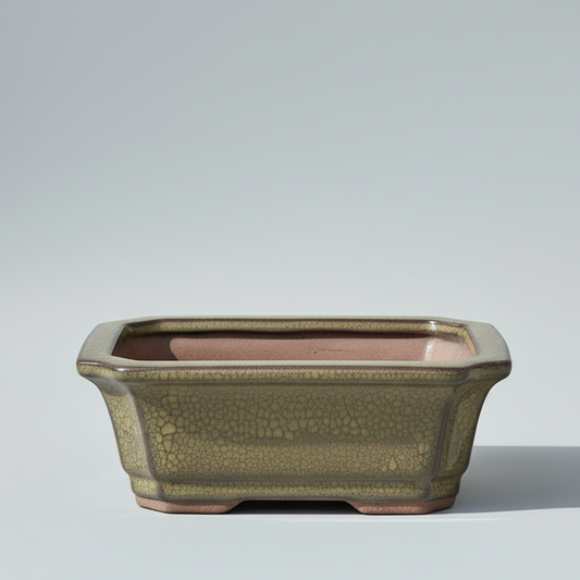 12cm Glazed Bonsai Pot | Rectangle | 12cm x 10cm x 4cm | Green