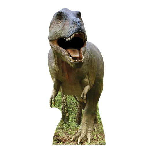 SC137 Tyrannosaurus Rex  Cardboard Cut Out Height 186cm