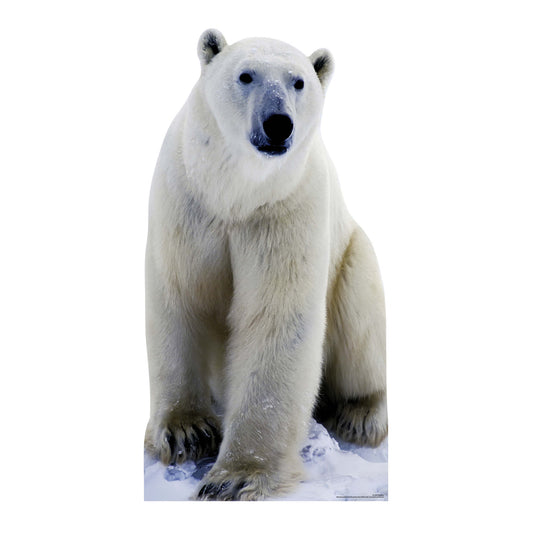 SC139 Polar Bear Cardboard Cut Out Height 185cm