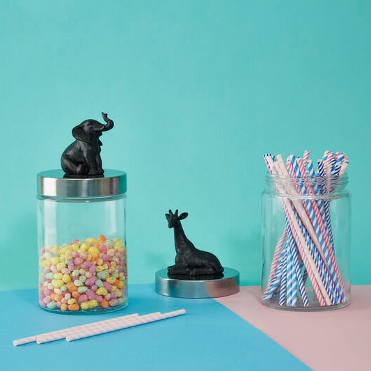 Boho Giraffe Jar