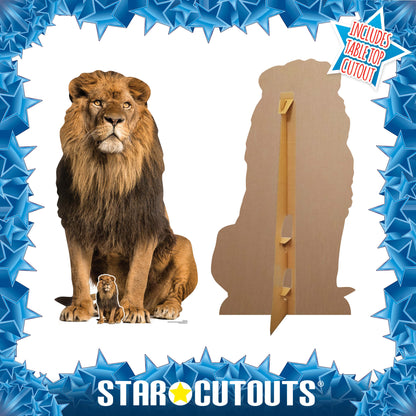 SC1438 Adult Male Lion Sitting Cardboard Cut Out Height 155cm