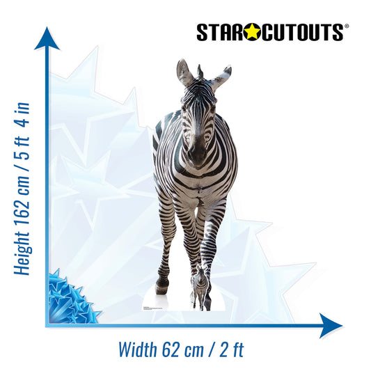 SC1439 Adult Zebra Black and White Cardboard Cut Out Height 162cm