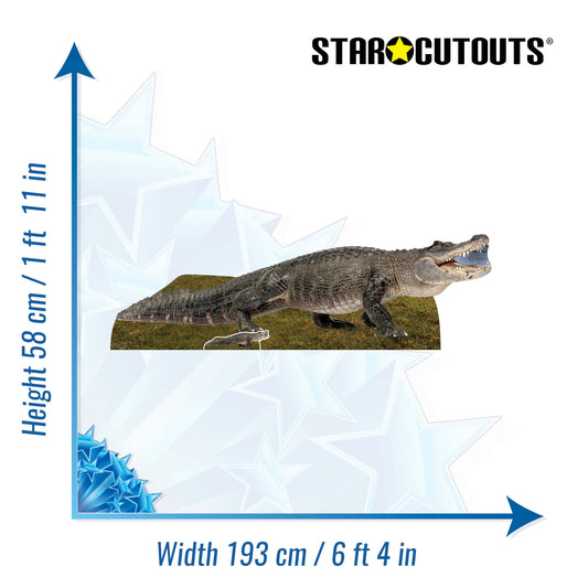 SC1457 Fresh Water Alligator Cardboard Cut Out Height 58cm