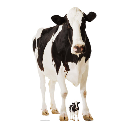 SC163 Cow Cardboard Cut Out Height 165cm