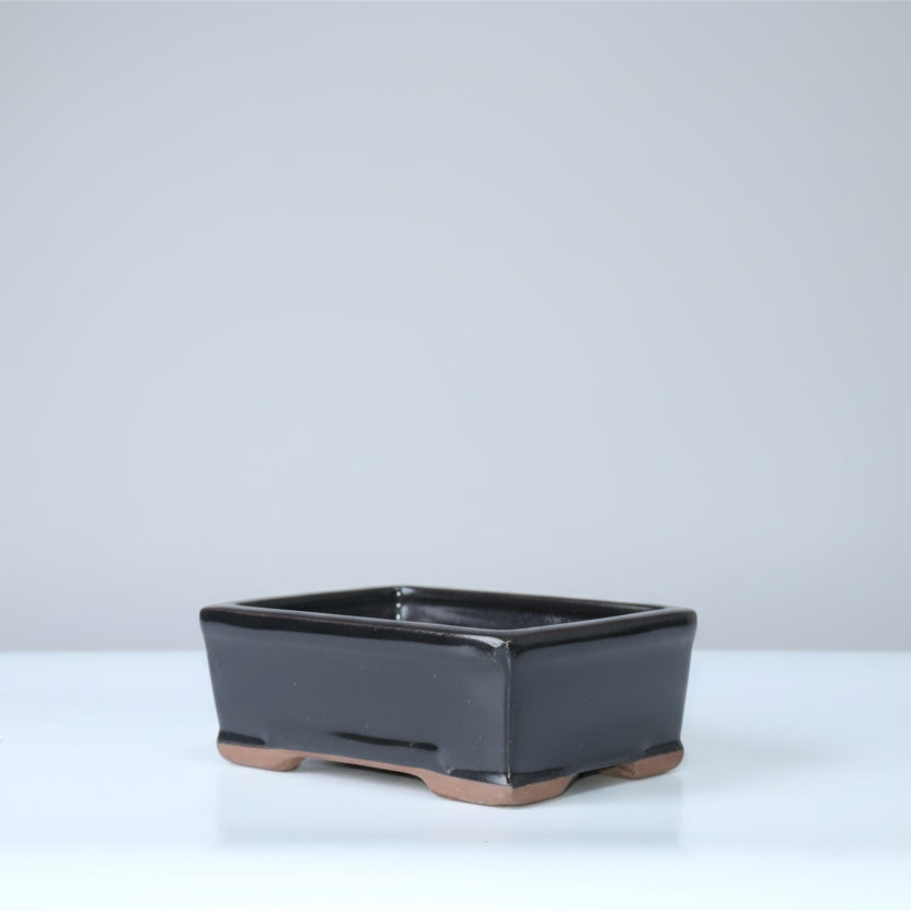 16cm Glazed Bonsai Pot | Rectangle | 16cm x 13cm x 6cm | Black