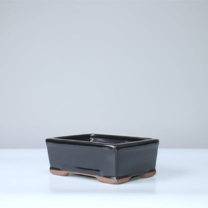 16cm Glazed Bonsai Pot | Rectangle | 16cm x 13cm x 6cm | Black