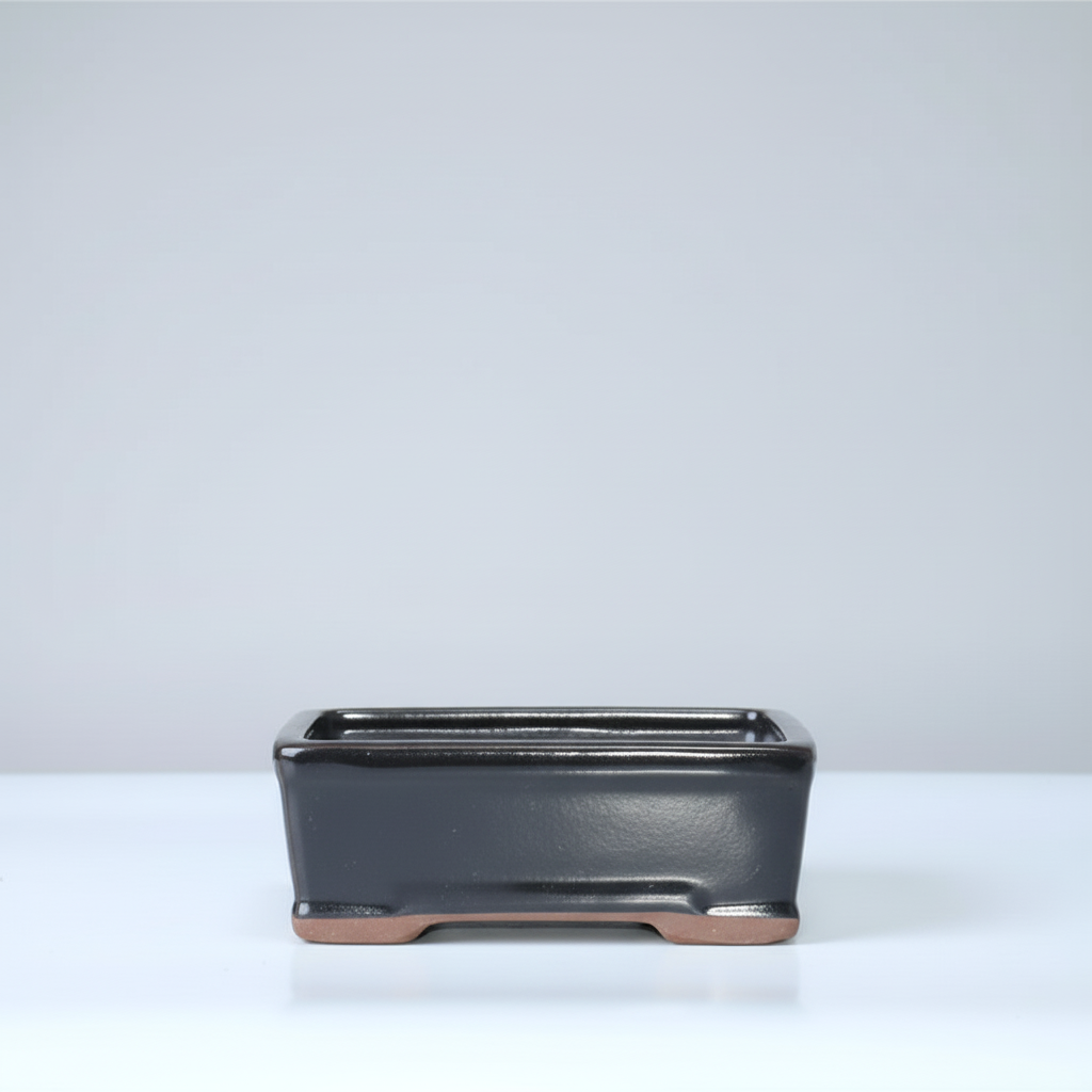 16cm Glazed Bonsai Pot | Rectangle | 16cm x 13cm x 6cm | Black