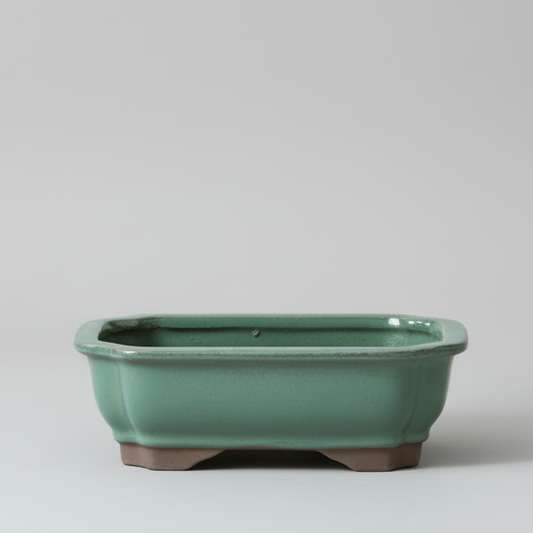 18cm Glazed Bonsai Pot | Rectangle | 18cm x 14cm x 4cm | Green