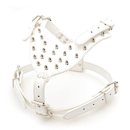 Three Piece Pet Rivet Set