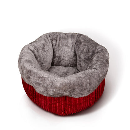 Warm cat litter in winter