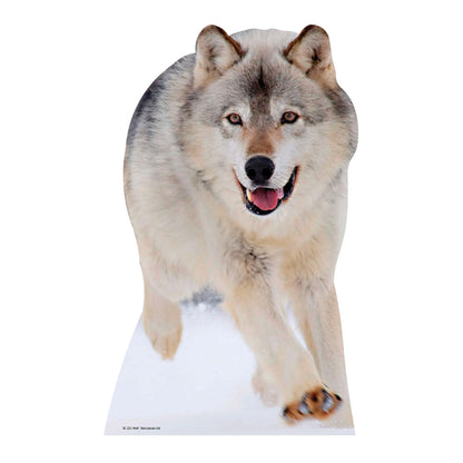 SC221 Wolf Cardboard Cut Out Height 89cm