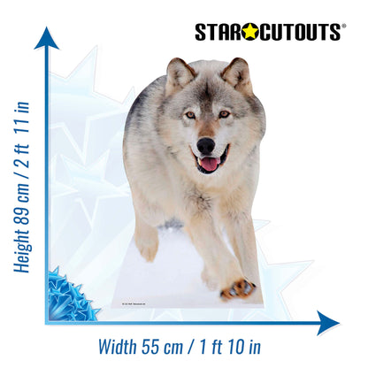 SC221 Wolf Cardboard Cut Out Height 89cm