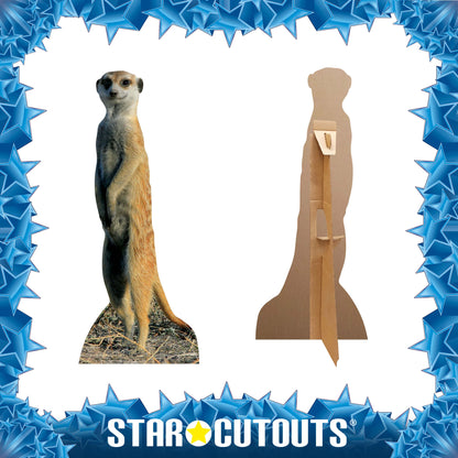 SC227 Meerkat Cardboard Cut Out Height 98cm