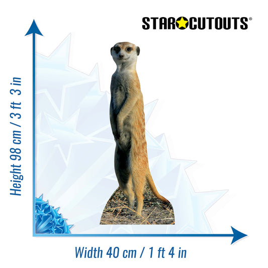 SC227 Meerkat Cardboard Cut Out Height 98cm