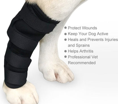 Dog Leggings Injury Prevention Licking
