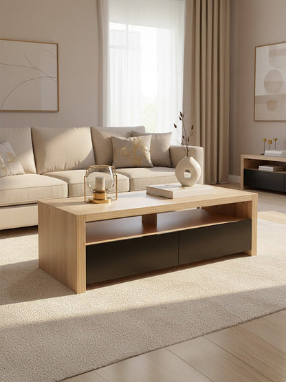 Loki 2 Drawers And 1 Shelf Coffee Table