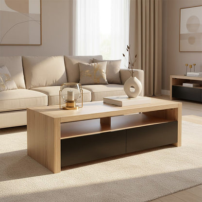 Loki 2 Drawers And 1 Shelf Coffee Table