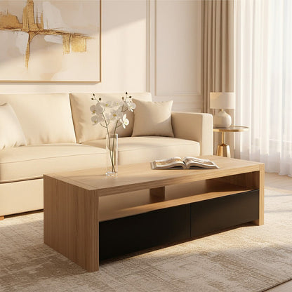 Loki 2 Drawers And 1 Shelf Coffee Table