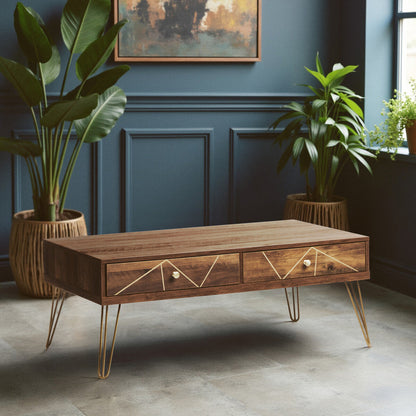 Flori Coffee Table with 2 Drawers