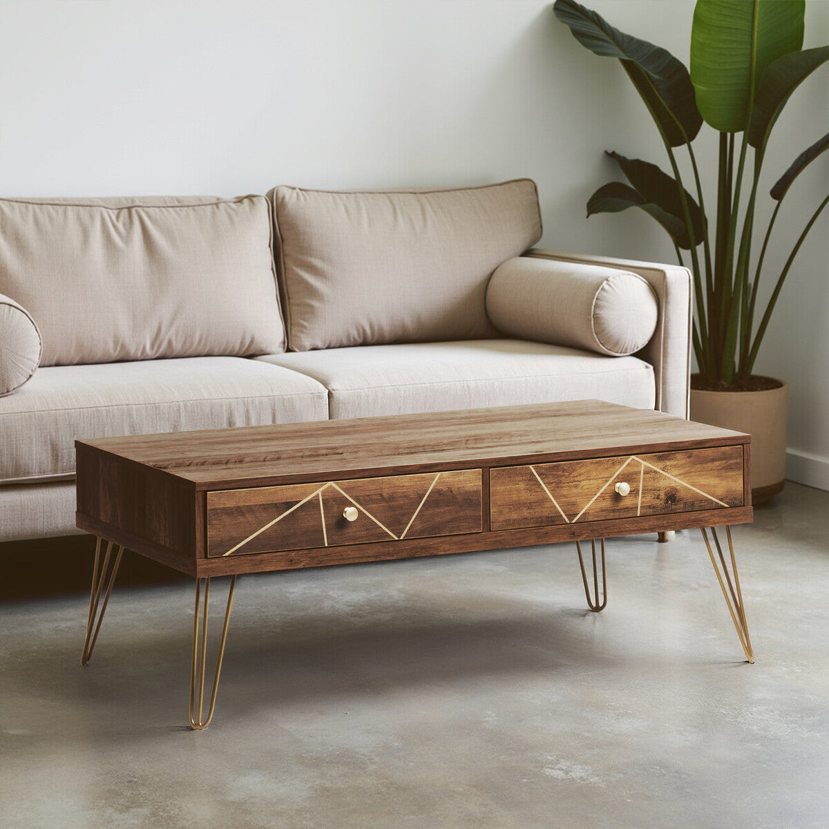 Flori Coffee Table with 2 Drawers