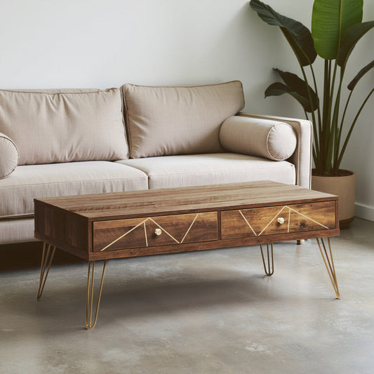 Flori Coffee Table with 2 Drawers