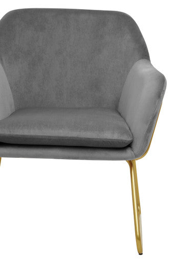 Xander Grey Velvet Modern Accent Chair