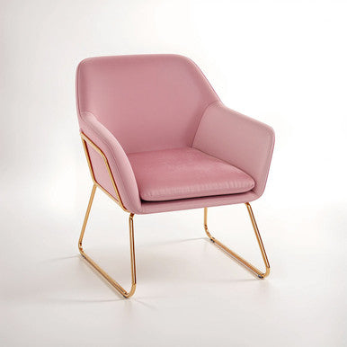 Xander Pink Velvet Modern Accent Chair with Gold Frame