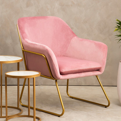 Xander Pink Velvet Modern Accent Chair with Gold Frame