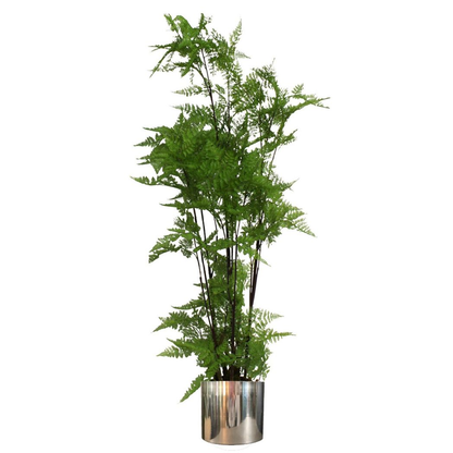 Metal Planter Plant Pot with Polished Silver Finish 20 x 18cm